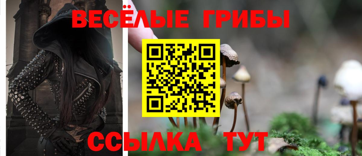 Лабинск  Псилоцибиновые грибы MAGIC MUSHROOMS  Вход с VPN 